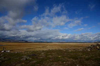 DSC_2899 (Large).JPG